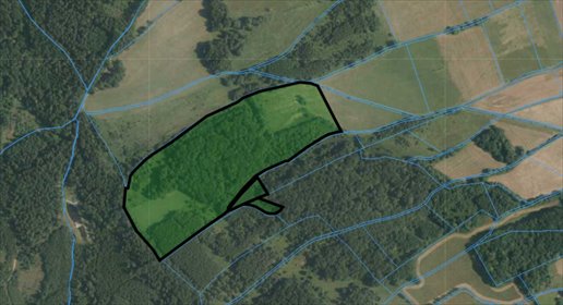 Na sprzedaż działka 95 400 m² w Lipie z możliwością rozwoju działka Lipa