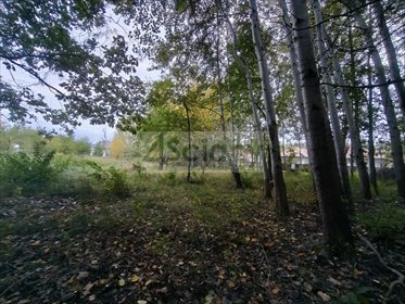 Działka 1100 m² z mediami, lasem i spokojem - polecam! działka Stara Wieś