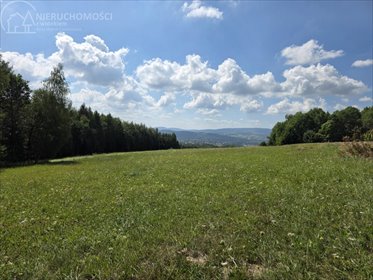 Widokowa działka 52 arów w Moszczenicy (las, spokój) działka Moszczenica