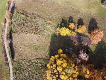 Działka inna na sprzedaż Pilona, Pilona 3 187m2 Foto 3