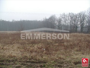 działka na sprzedaż 17273m2 działka Miękinia, Zabór Wielki, Zachodnia