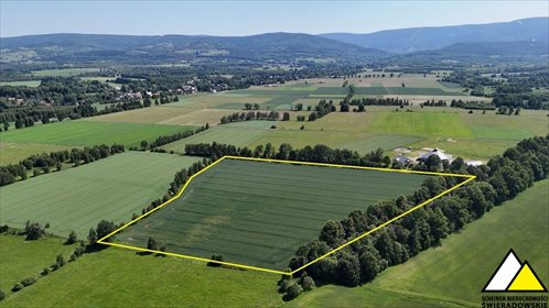 Na sprzedaż duża działka 46 000 m² z widokiem na Góry Izerskie działka Mroczkowice