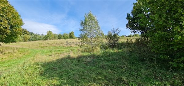 Działka inna na sprzedaż Kudowa-Zdrój, Jakubowice 1 100m2 Foto 4
