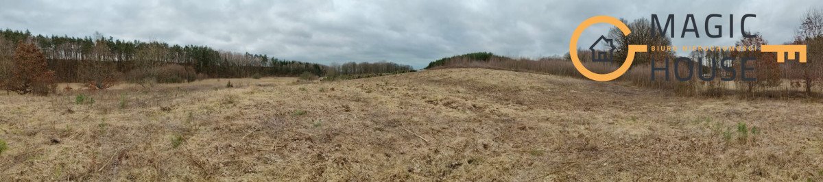 Działka 4455 m² nad jeziorem, bez planu, rekreacyjna działka Miradowo