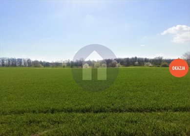 Działka budowlana na sprzedaż Kruków 1 200m2 Foto 3