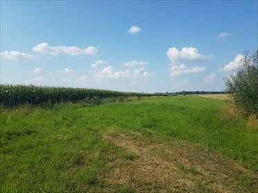 działka na sprzedaż 9540m2 działka Michałów