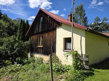 Polecam urokliwe siedlisko 80 m² z widokiem na las w Tursku dom Tursko