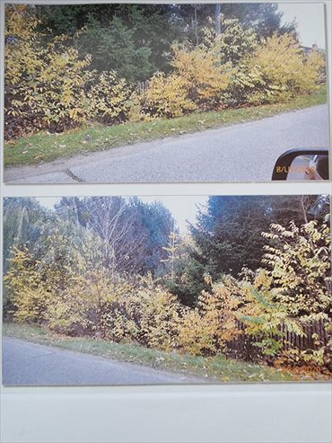 Działka siedliskowa na sprzedaż Karolinowo 1 400m2 Foto 1