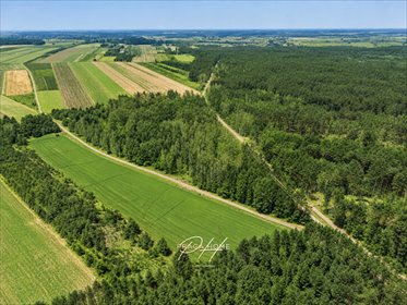 Działka rolna z lasem 15 318 m², asfalt zapraszam działka Wyśmierzyce