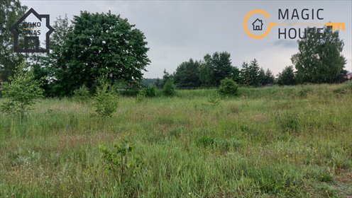 Polecam działkę 1206 m² w pięknej okolicy nad jeziorami działka Gołubie, Sambora II