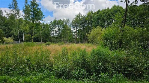 działka na sprzedaż 1000m2 działka Brzeźce, Brzozowa