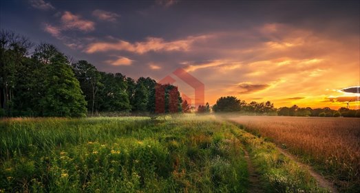 działka na sprzedaż 5300m2 działka Brzezówka