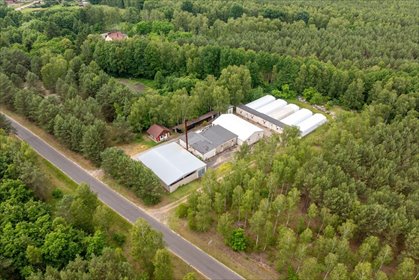 Na sprzedaż działka 11 800 m² z budynkami w Miałach działka Miały