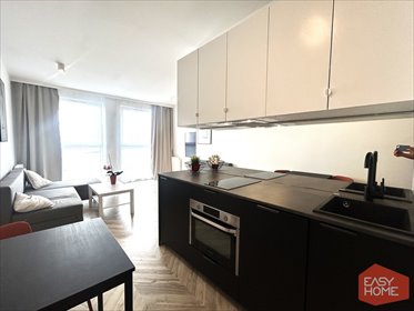 mieszkanie na sprzedaż 33m2 mieszkanie Poznań, Centrum, Czesława Niemena
