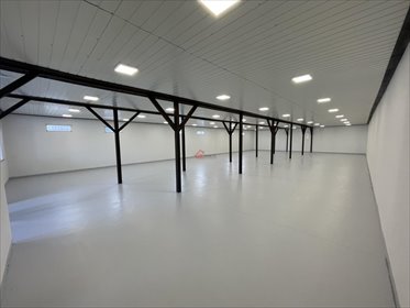Lokal użytkowy na wynajem Staszów, al. Tadeusza Kościuszki 350m2 Foto 6