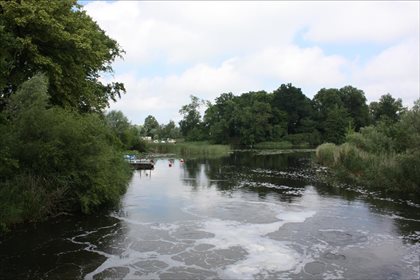 Działka rolna na sprzedaż Świerznica, Stegna 80 300m2 Foto 1