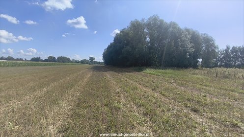 Sprzedam dużą działkę 20 000 m² w Słońsku z możliwością podziału działka Słońsko