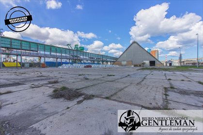 działka na wynajem 5800m2 działka Gdańsk