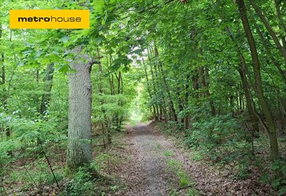 działka na sprzedaż 63021m2 działka Klawkowo, Leśna