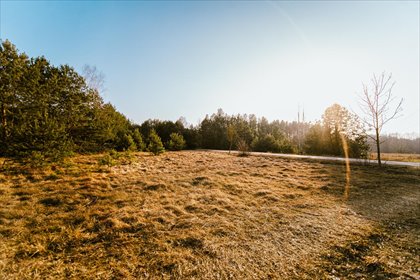 działka na sprzedaż 633m2 działka Maków Mazowiecki