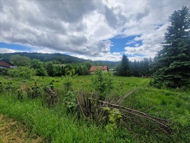 Na sprzedaż działka 2996 m² z widokiem na Zamek Księcia Henryka działka Sosnówka, Liczyrzepy