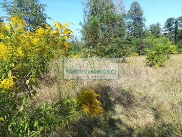 Działka zalesiona 19 900 m² pod domy jednorodzinne polecam działka Milanówek
