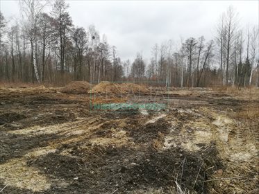 działka na sprzedaż 10000m2 działka Czarny Las