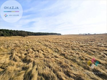 Działka budowlana na sprzedaż Wójtowo 1 504m2 Foto 6