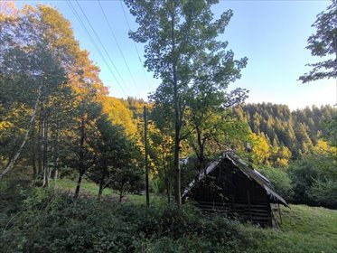 dom na sprzedaż 40m2 dom Milówka, Prusów