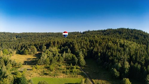 Duża działka leśna (20 700 m²) w Kasina Wielka działka Kasina Wielka