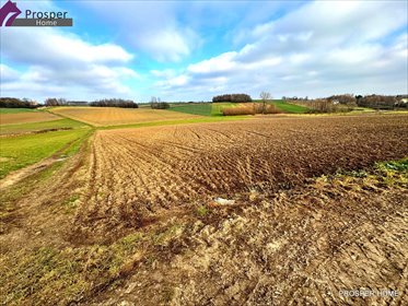 działka na sprzedaż 4400m2 działka Wola Zgłobieńska, Wola Zgłobieńska