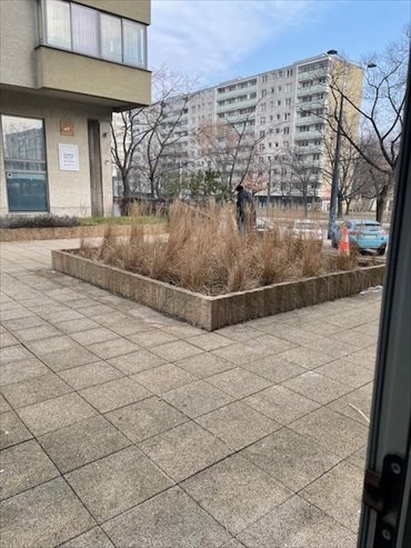 Lokal użytkowy na wynajem Warszawa, Wola, Nowolipki, Aleja Jana Pawła II 70m2 Foto 3