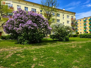 Przestronne 3-pokojowe mieszkanie z balkonami i niezależnym wejściem mieszkanie Bydgoszcz