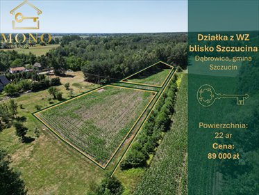 Działki budowlane z WZ, las, blisko Szczucina działka Dąbrowica