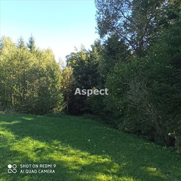 działka na sprzedaż 14712m2 działka Brzeziny, Mały Dział