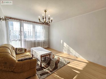 mieszkanie na wynajem 39m2 mieszkanie Sosnowiec