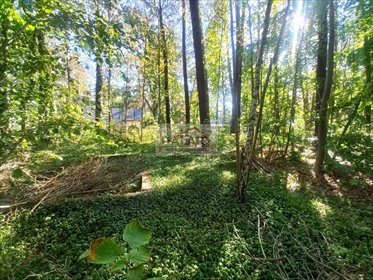 działka na sprzedaż 2019m2 działka Zalesie Górne