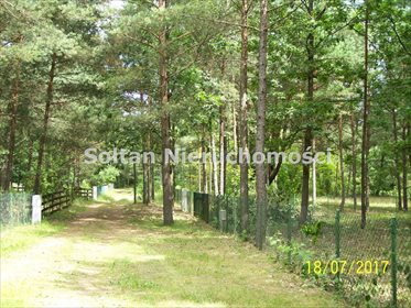 Działka rekreacyjna na sprzedaż Dzbądzek 800m2 Foto 6