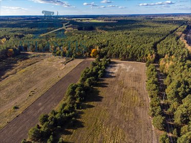 Polecam działki budowlane 800-1000 m² w Januszkowie działka Januszkowo