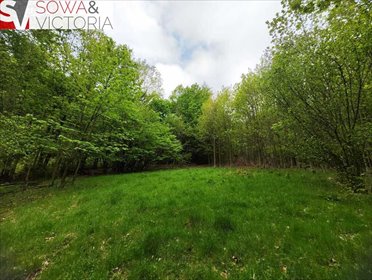 działka na sprzedaż 34415m2 działka Piechowice