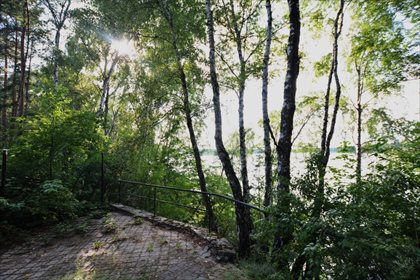 Działka rekreacyjna na sprzedaż Dąbrowa Górnicza, Pogoria 2 433m2 Foto 6