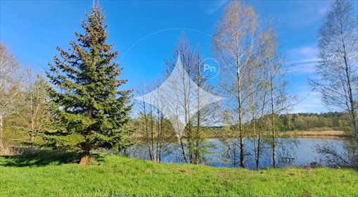 działka na sprzedaż 14800m2 działka Witramowo