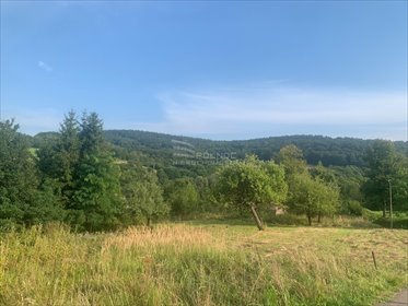 działka na sprzedaż 1500m2 działka Rymanów-Zdrój, Szkolna
