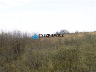 działka na sprzedaż 4600m2 działka Lisewiec, Ustronna