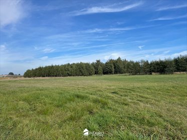 Działka 1338 m² z fundamentami, blisko natury i komunikacji działka Piotrków Trybunalski
