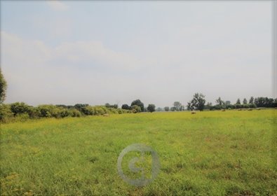 działka na sprzedaż 1341m2 działka Prądocin