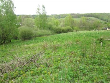 działka na sprzedaż 8913m2 działka Walim, Zagórze Śląskie