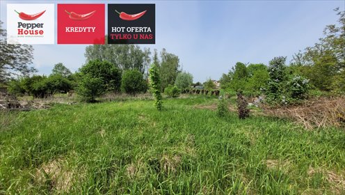 działka na sprzedaż 2644m2 działka Jegłownik, Malborska