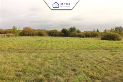 działka na sprzedaż 9720m2 działka Jęczydół