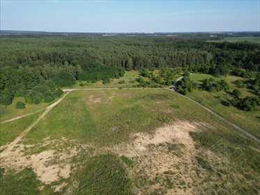 Polecam działkę 4230 m² z mediami i dostępem do natury działka Daleszewo